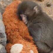 ヒメ日記 2026/02/19 22:02 投稿 ひまり 梅田アバンチュール