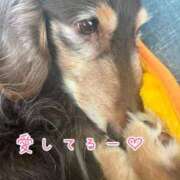 ヒメ日記 2026/03/08 10:19 投稿 ひまり 梅田アバンチュール