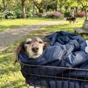 ヒメ日記 2026/03/16 22:22 投稿 ひまり 梅田アバンチュール