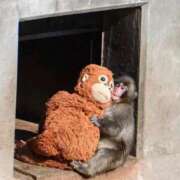 ヒメ日記 2026/03/20 10:17 投稿 ひまり 梅田アバンチュール