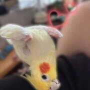 ヒメ日記 2026/03/25 10:31 投稿 ひまり 梅田アバンチュール