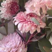 ヒメ日記 2026/04/06 15:42 投稿 ひまり 梅田アバンチュール