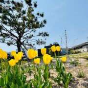 ヒメ日記 2026/04/24 20:12 投稿 ひまり 梅田アバンチュール