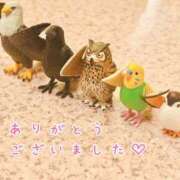 ヒメ日記 2026/05/10 22:12 投稿 ひまり 梅田アバンチュール