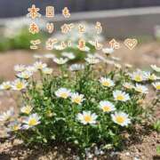 ヒメ日記 2026/05/24 20:02 投稿 ひまり 梅田アバンチュール