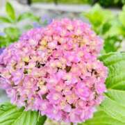 ヒメ日記 2026/06/18 22:12 投稿 ひまり 梅田アバンチュール