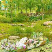 ひまり ソウル植物園、想像以上でした🌿💐 梅田アバンチュール