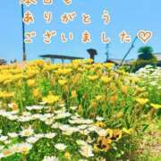 ヒメ日記 2026/07/27 22:12 投稿 ひまり 梅田アバンチュール