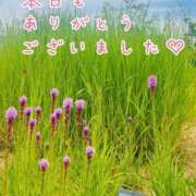 ヒメ日記 2026/07/29 22:18 投稿 ひまり 梅田アバンチュール