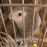 ヒメ日記 2026/08/02 12:36 投稿 ひまり 梅田アバンチュール