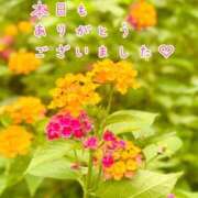 ヒメ日記 2026/08/07 22:14 投稿 ひまり 梅田アバンチュール