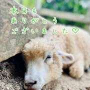 ヒメ日記 2026/08/18 22:22 投稿 ひまり 梅田アバンチュール