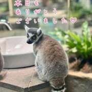 ヒメ日記 2026/08/20 22:22 投稿 ひまり 梅田アバンチュール