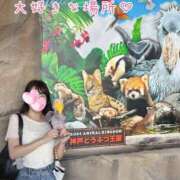 ひまり ラクダは足りてるらしい🐫😂 梅田アバンチュール