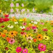 ヒメ日記 2026/08/25 22:12 投稿 ひまり 梅田アバンチュール