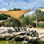 ヒメ日記 2026/08/28 22:22 投稿 ひまり 梅田アバンチュール