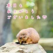 ヒメ日記 2026/08/31 20:23 投稿 ひまり 梅田アバンチュール