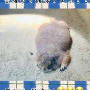 ヒメ日記 2026/09/09 19:42 投稿 ひまり 梅田アバンチュール
