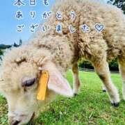 ヒメ日記 2026/09/17 22:23 投稿 ひまり 梅田アバンチュール