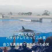 ヒメ日記 2026/09/19 12:51 投稿 ひまり 梅田アバンチュール