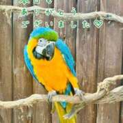 ヒメ日記 2026/09/20 22:22 投稿 ひまり 梅田アバンチュール