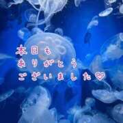 ヒメ日記 2026/09/21 22:22 投稿 ひまり 梅田アバンチュール