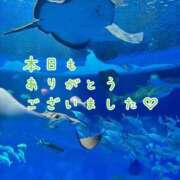 ヒメ日記 2026/09/26 22:14 投稿 ひまり 梅田アバンチュール