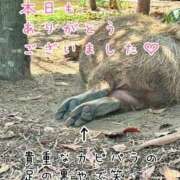 ヒメ日記 2026/09/29 22:22 投稿 ひまり 梅田アバンチュール