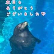 ヒメ日記 2026/09/30 20:22 投稿 ひまり 梅田アバンチュール