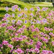 ヒメ日記 2026/09/30 22:42 投稿 ひまり 梅田アバンチュール