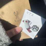 ヒメ日記 2025/02/08 14:48 投稿 しう 成田富里インターちゃんこ