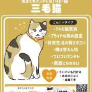 ヒメ日記 2025/02/22 14:08 投稿 しう 成田富里インターちゃんこ