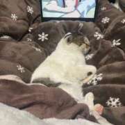 ヒメ日記 2025/02/27 10:48 投稿 しう 成田富里インターちゃんこ