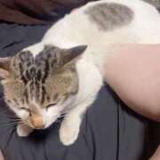 ヒメ日記 2025/03/03 07:58 投稿 しう 成田富里インターちゃんこ