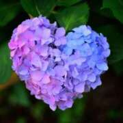 ヒメ日記 2025/03/13 18:01 投稿 しう 成田富里インターちゃんこ