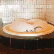 ヒメ日記 2025/04/21 15:58 投稿 しう 成田富里インターちゃんこ