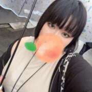 しう レア出勤？？ 成田富里インターちゃんこ