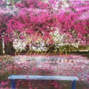 ヒメ日記 2024/12/24 13:46 投稿 さゆり 出会い系人妻ネットワーク 渋谷〜目黒編