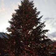 ヒメ日記 2024/12/25 10:29 投稿 さゆり 出会い系人妻ネットワーク 渋谷〜目黒編