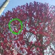 ヒメ日記 2025/02/26 14:07 投稿 さゆり 出会い系人妻ネットワーク 渋谷〜目黒編