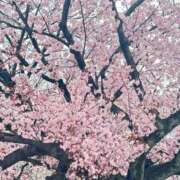 ヒメ日記 2025/04/08 14:08 投稿 さゆり 出会い系人妻ネットワーク 渋谷〜目黒編