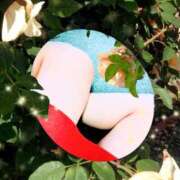 ヒメ日記 2026/02/26 08:40 投稿 夏野 雨 こあくまな熟女たち伊勢崎店（KOAKUMAグループ）