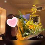 とあ 今年ももうすぐ！ スパーク日本橋