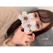 ヒメ日記 2026/02/14 23:07 投稿 とあ スパーク日本橋