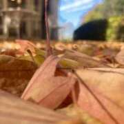 ヒメ日記 2024/12/17 20:00 投稿 せら アラモード