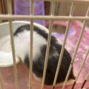 ヒメ日記 2024/12/23 20:00 投稿 せら アラモード