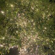 ヒメ日記 2024/12/24 20:00 投稿 せら アラモード