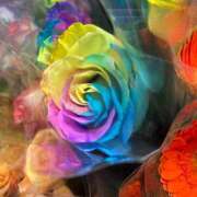 ヒメ日記 2024/12/30 17:00 投稿 せら アラモード