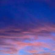 ヒメ日記 2025/01/01 13:01 投稿 せら アラモード