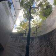 ヒメ日記 2025/01/03 12:02 投稿 せら アラモード